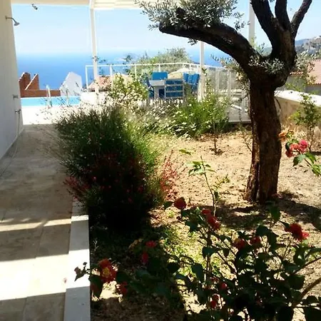Imagine Renting This Luxury Villavilla Zeytouna Villa Kas